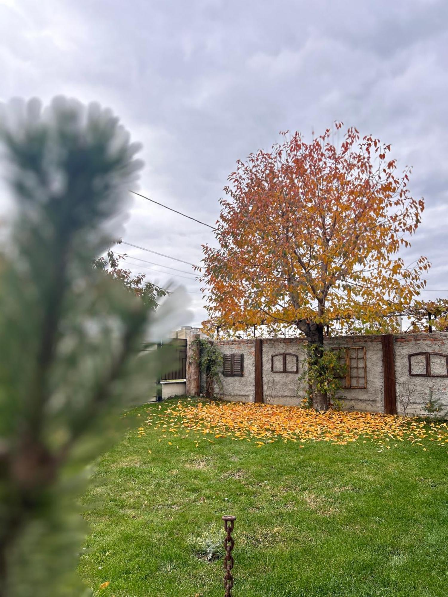 Like Home Rîşnov Exterior foto